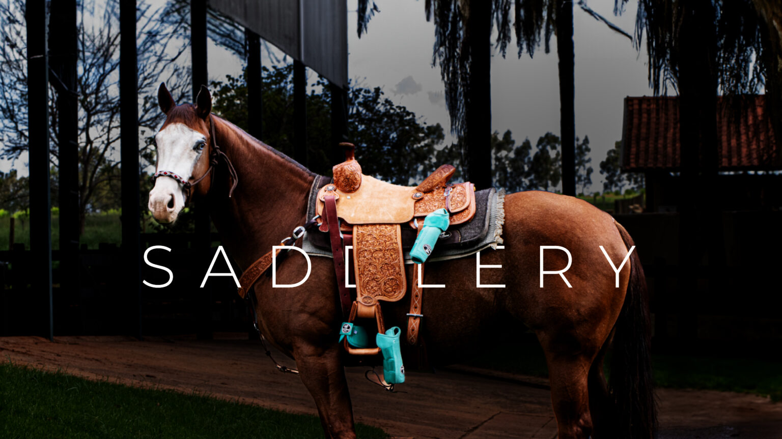 Capa - Saddlery 03